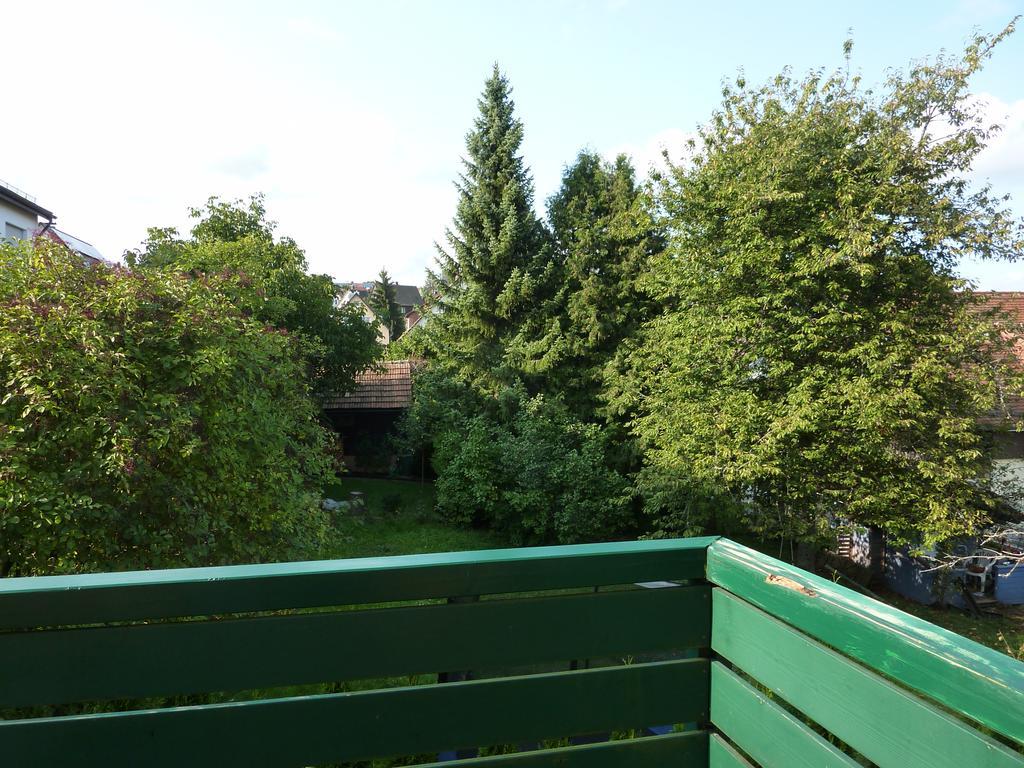 Apartament Schwarzwald light Freudenstadt Zewnętrze zdjęcie
